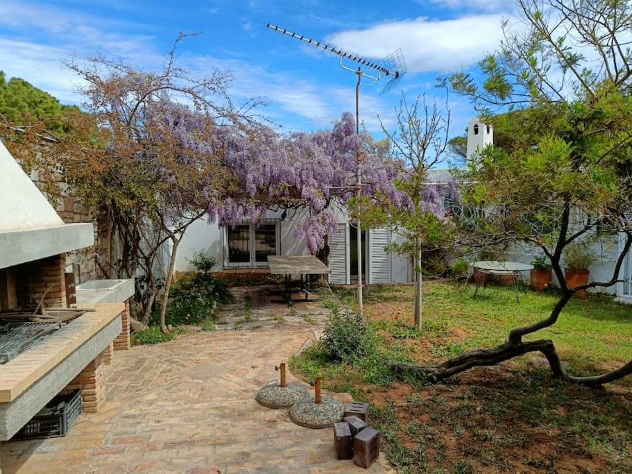 Summer Villa In Pórto Ráfti מראה חיצוני תמונה