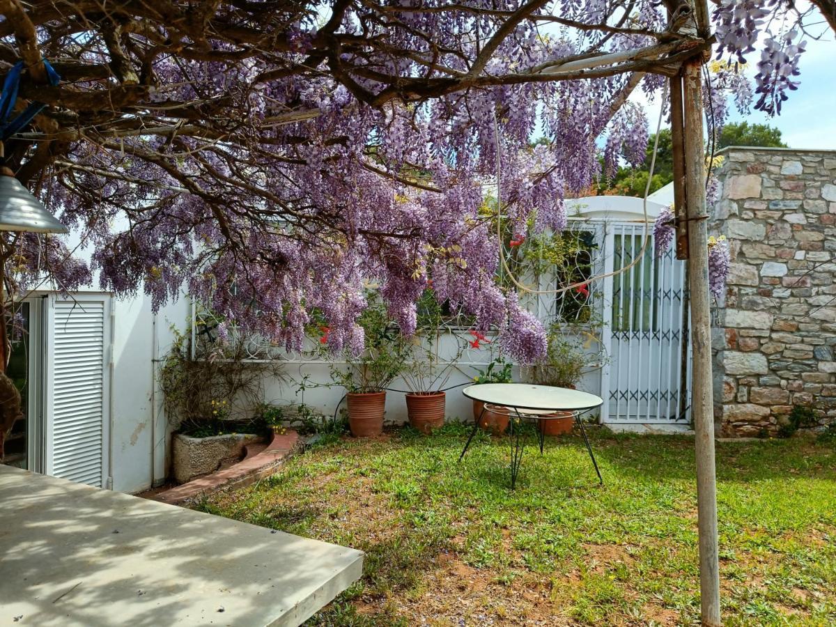Summer Villa In Pórto Ráfti מראה חיצוני תמונה
